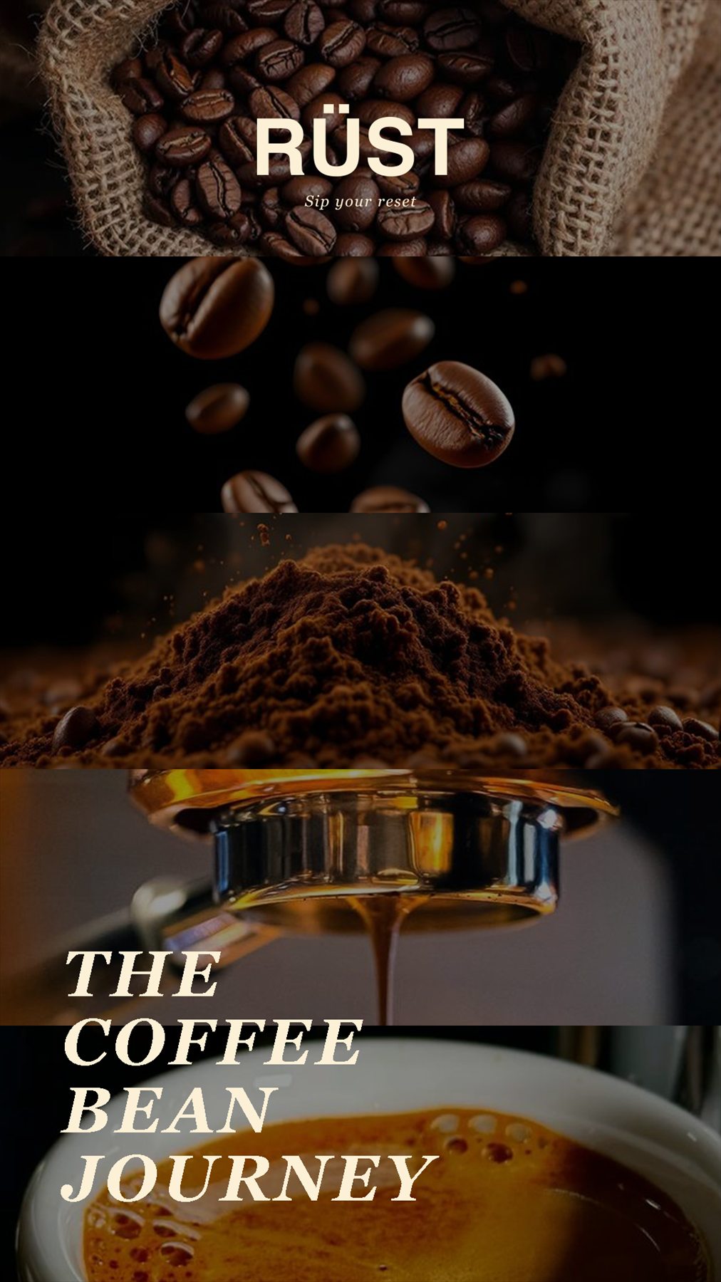 Rust — The Coffee Bean Journey